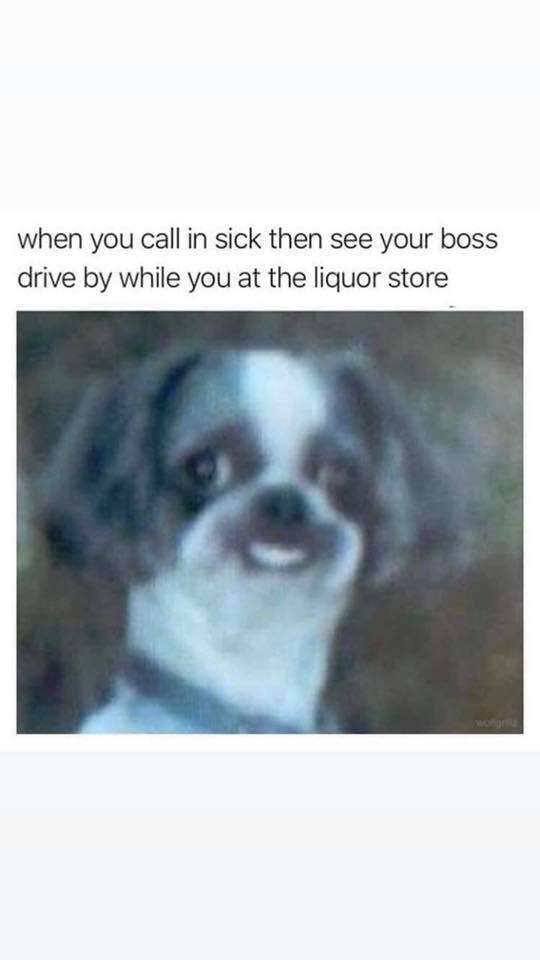 funny memes - wholesome memes - when you call in sick then see your boss drive by while you at the liquor store