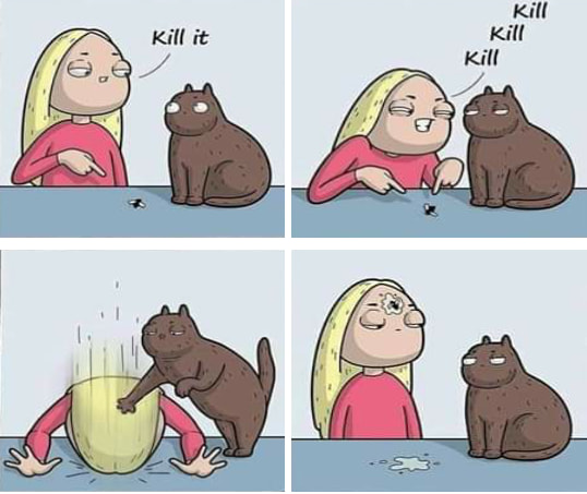 funny memes - Cat - Kill it Kill Kill Kill