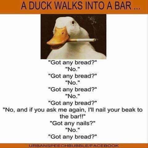 funny jokes about ducks - A Duck Walks Into A Bar "Got any bread?" "No." "Got any bread?" "No." "Got any bread?" "No." "Got any bread?" "No, and if you ask me again, I'll nail your beak to the bar!!" "Got any nails?" "No." "Got any bread?" Urbanspeechbubb