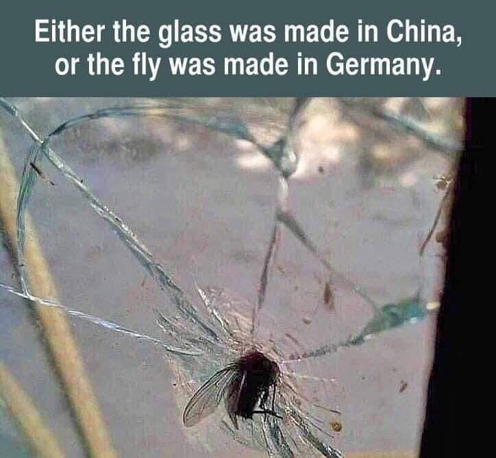 either the glass was made in china - Either the glass was made in China, or the fly was made in Germany.