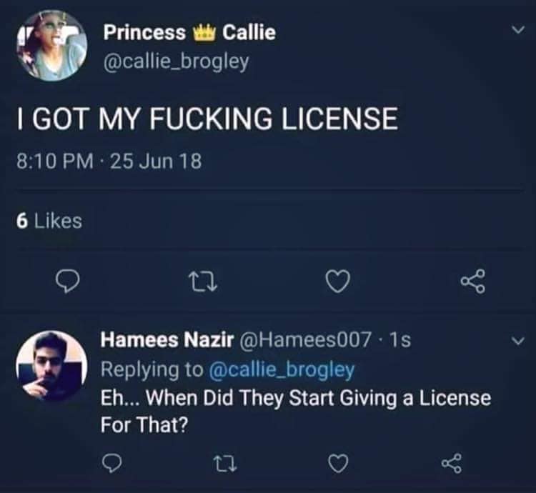 screenshot - Princess why Callie I Got My Fucking License . 25 Jun 18 6 Hamees Nazir 1s Eh... When Did They Start Giving a License For That?