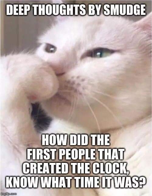 funny pictures - memes - gifs - meme - Deep Thoughts By Smudge How Did The First People That Created The Clock Know What Time It Was? 3com