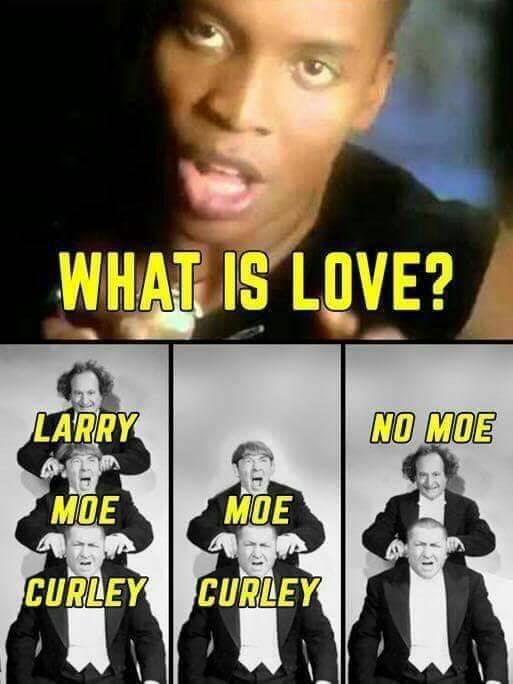 funny pictures - memes - gifs - love larry moe curly meme - What Is Love? Larry No Moe Moe Moe Curley Curley