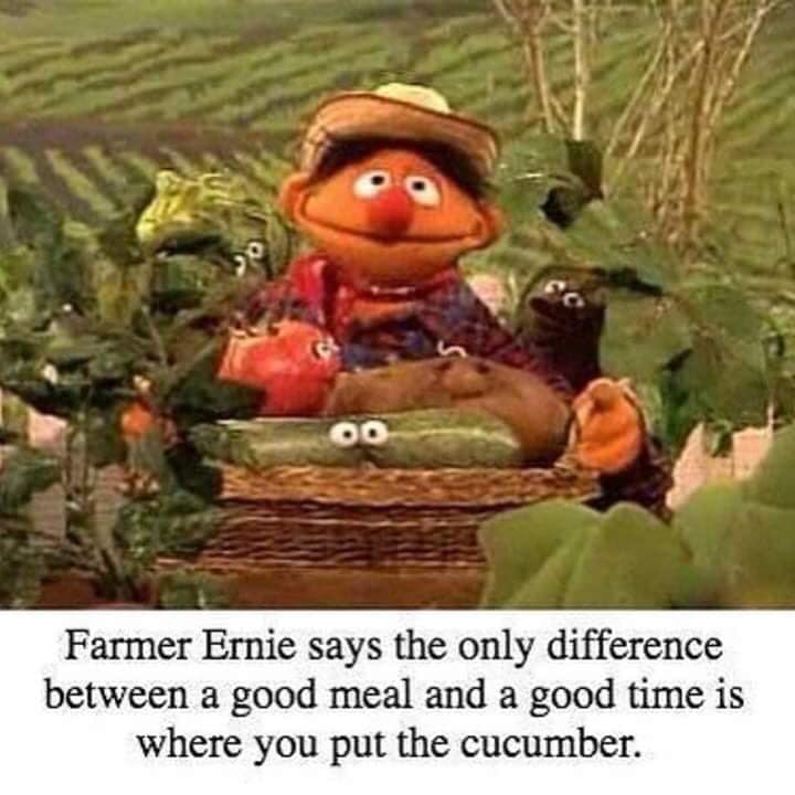 bert and ernie dank memes - Farmer Ernie says the only difference between a good meal and a good time is where you put the cucumber.