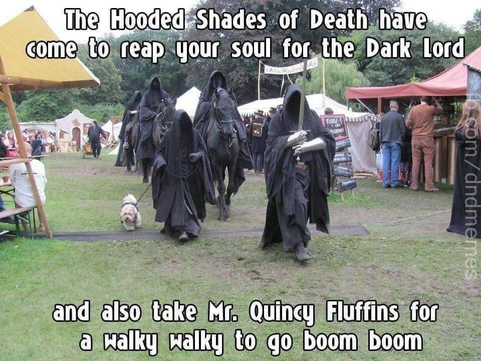 nazgul dog - The Hooded Shades of Death have come to reap your soul for the Dark Lord somdndme and also take M. Quincy Fluffins for a walky Walky to go boom boom