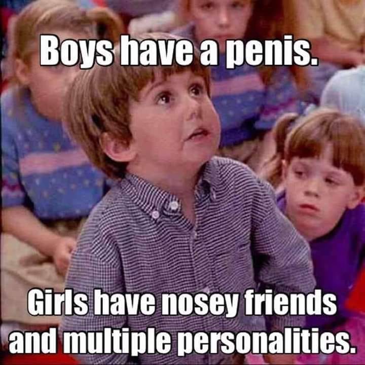 kindergarten cop kid meme - Boys have a penis. Girls have nosey friends and multiple personalities.