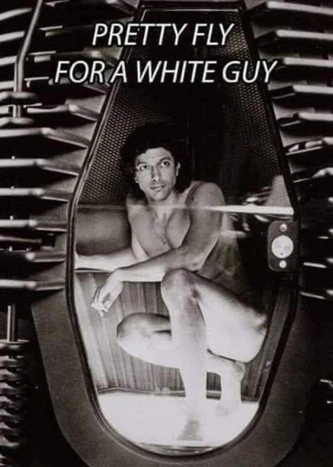 jeff goldblum beautiful the fly - Pretty Fly For A White Guy