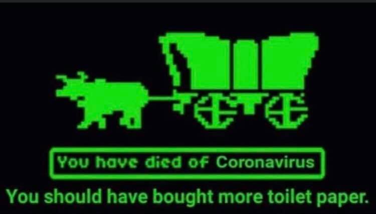 oregon trail computer game - You have died of Coronavirus You should have bought more toilet paper.
