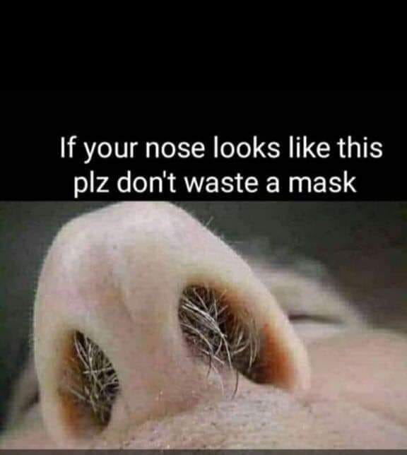 photo caption - 'If your nose looks this plz don't waste a mask