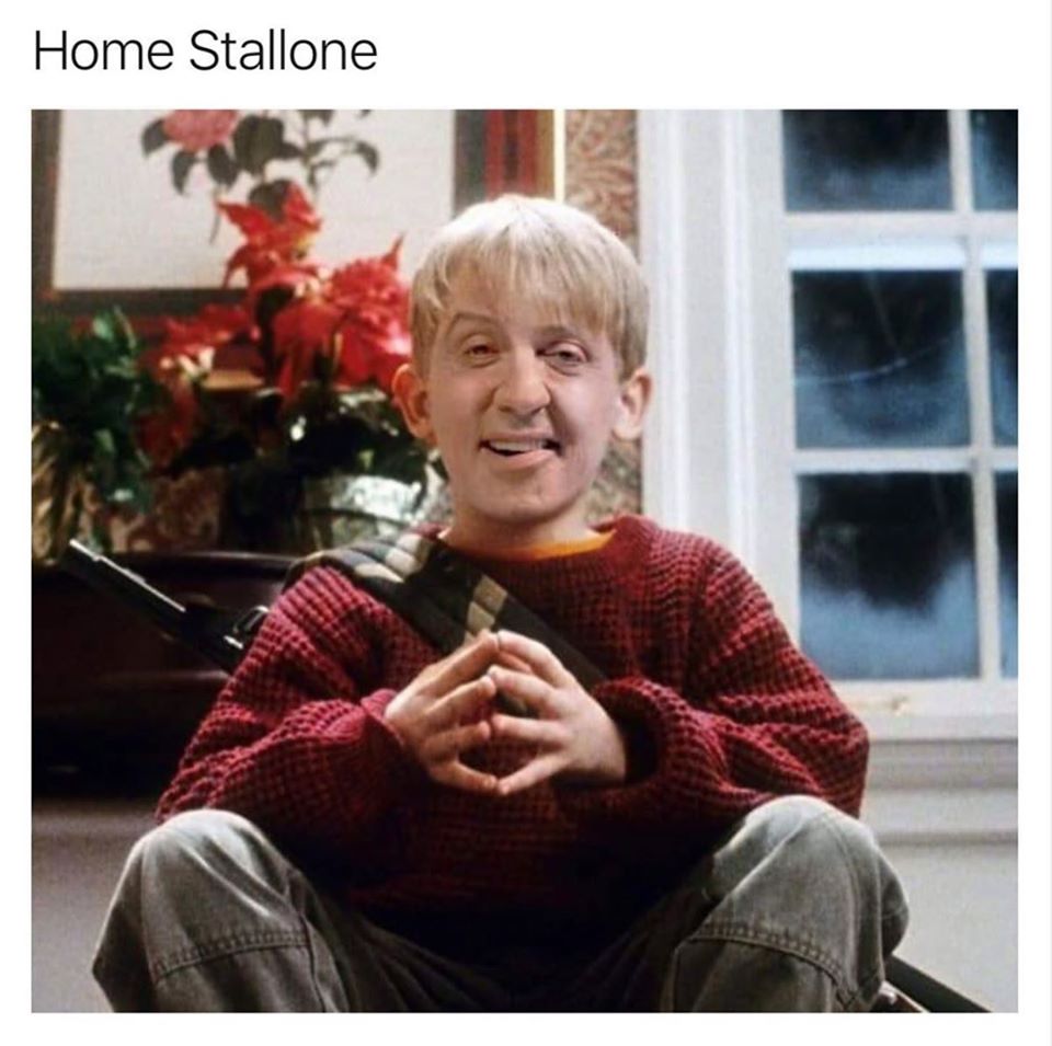 home stallone meme - Home Stallone