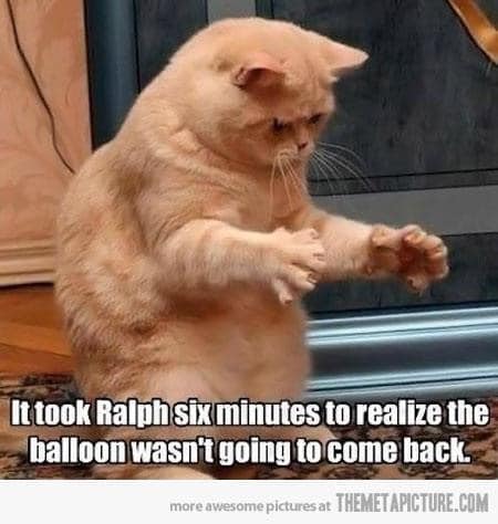 took ralph six minutes to realize - It took Ralph six minutes to realize the balloon wasn't going to come back. more awesome pictures at Themetapicture.Com