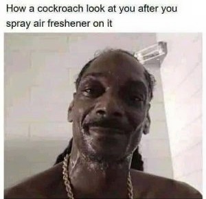 snoop dogg roach meme - How a cockroach look at you after you spray air freshener on it