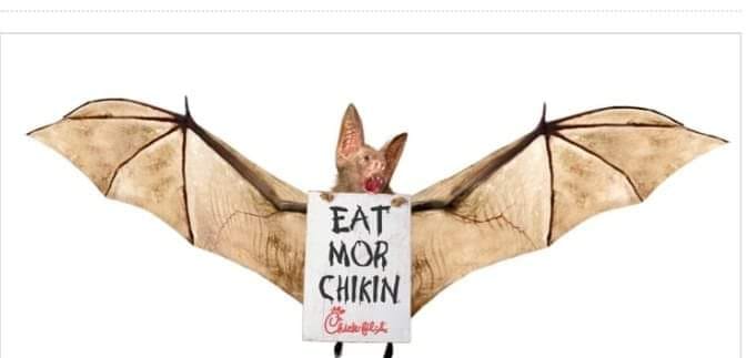 chick fil a cow ad replaced with a bat - Eat Mor Chikin