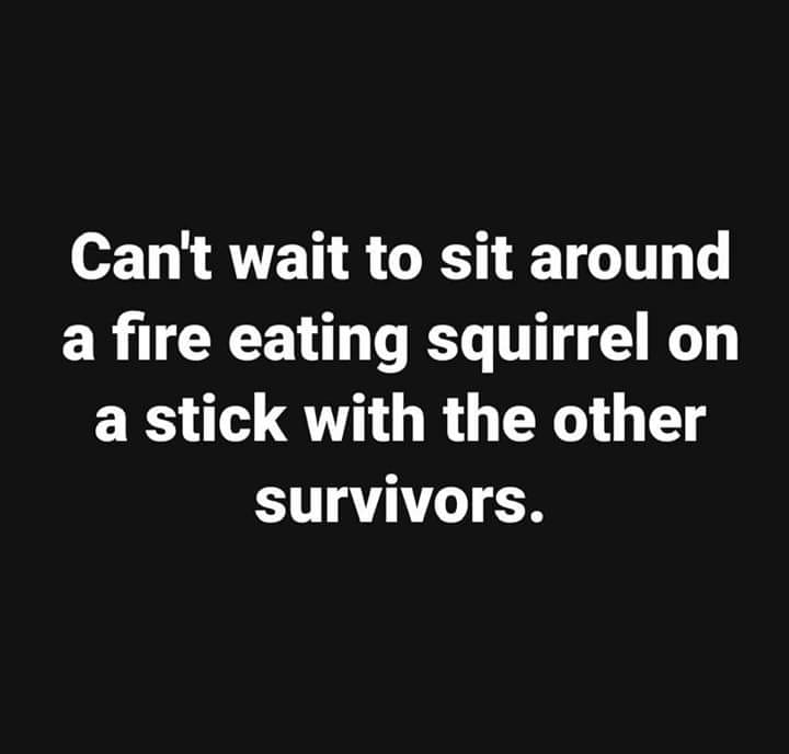 silence marshmello quotes - Can't wait to sit around a fire eating squirrel on a stick with the other survivors.