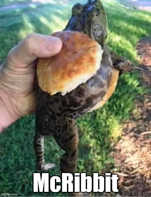 tortoise inside a hamburger bun - McRibbit