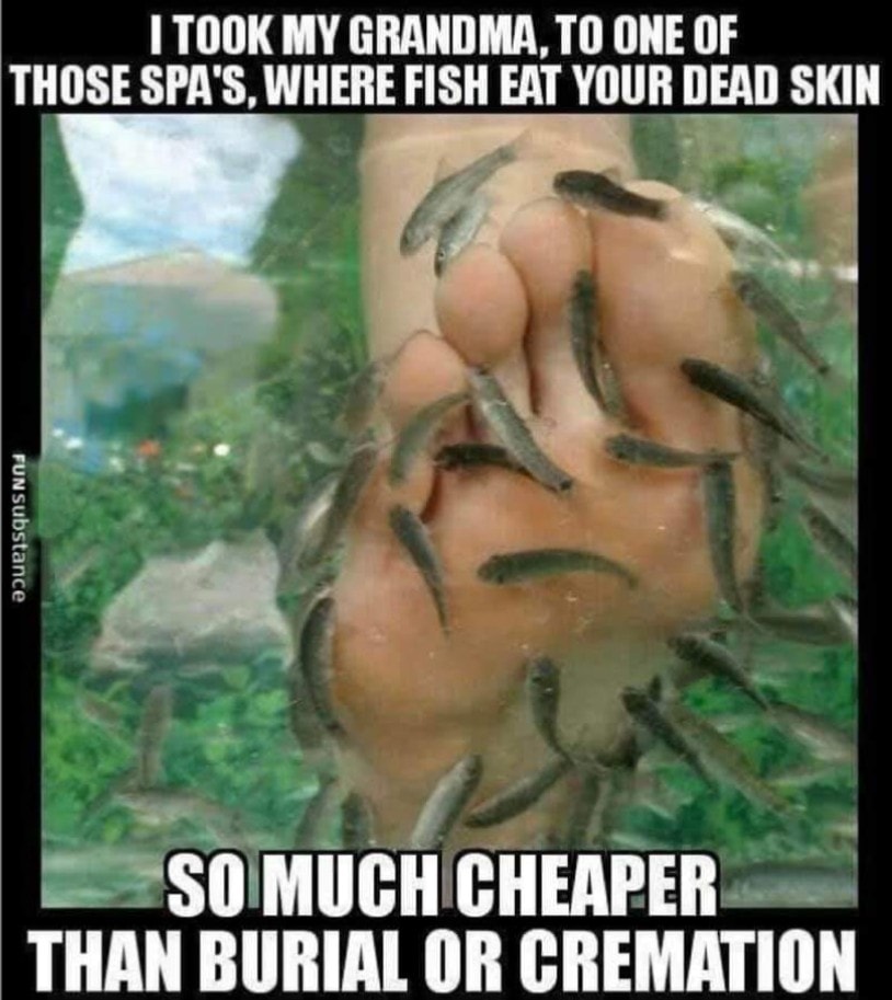 I Took My Grandma, To One Of Those Spa'S, Where Fish Eat Your Dead Skin Fun Substance So Much Cheaper Than Burial Or Cremation