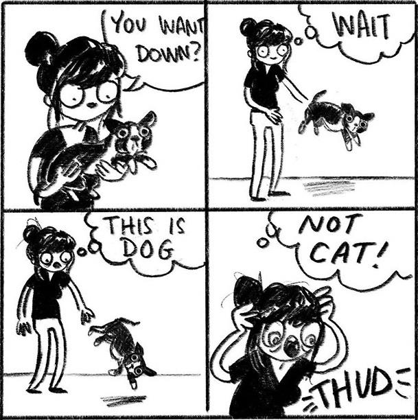 dog not cat comic - You Want To Down? Wait All 09. This Is Ycat! Maon Thude