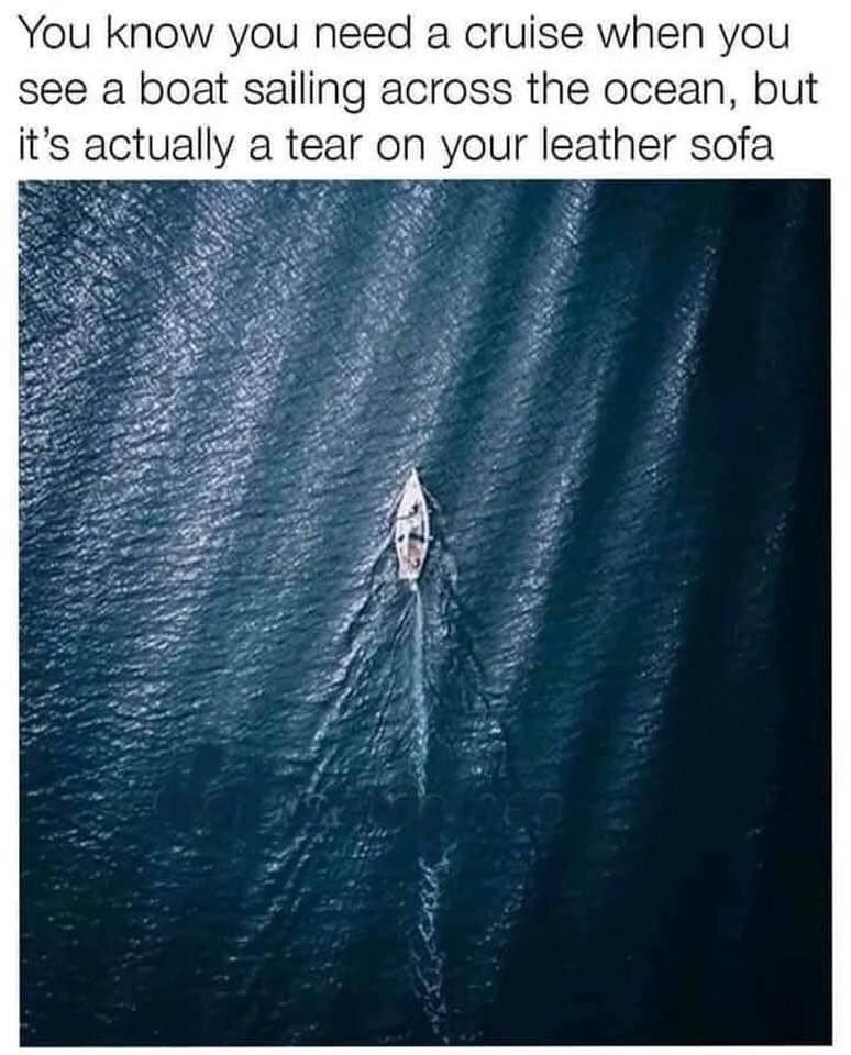 You know you need a cruise when you see a boat sailing across the ocean, but it's actually a tear on your leather sofa