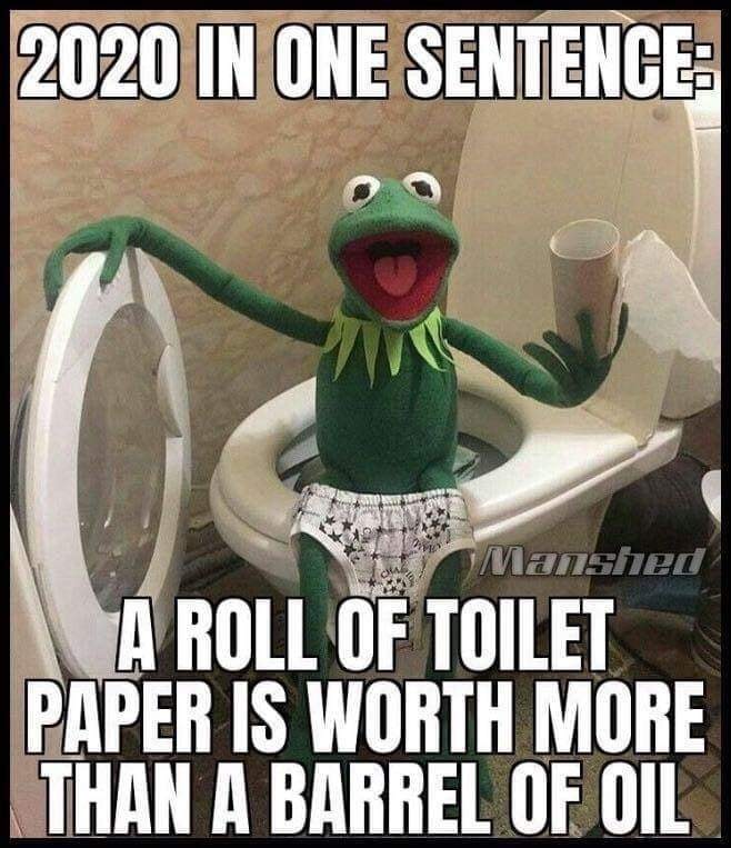 Toilet paper - 2020 In One Sentence Manshed A Roll Of Toilet Paper Is Worth More Than A Barrel Of Oil
