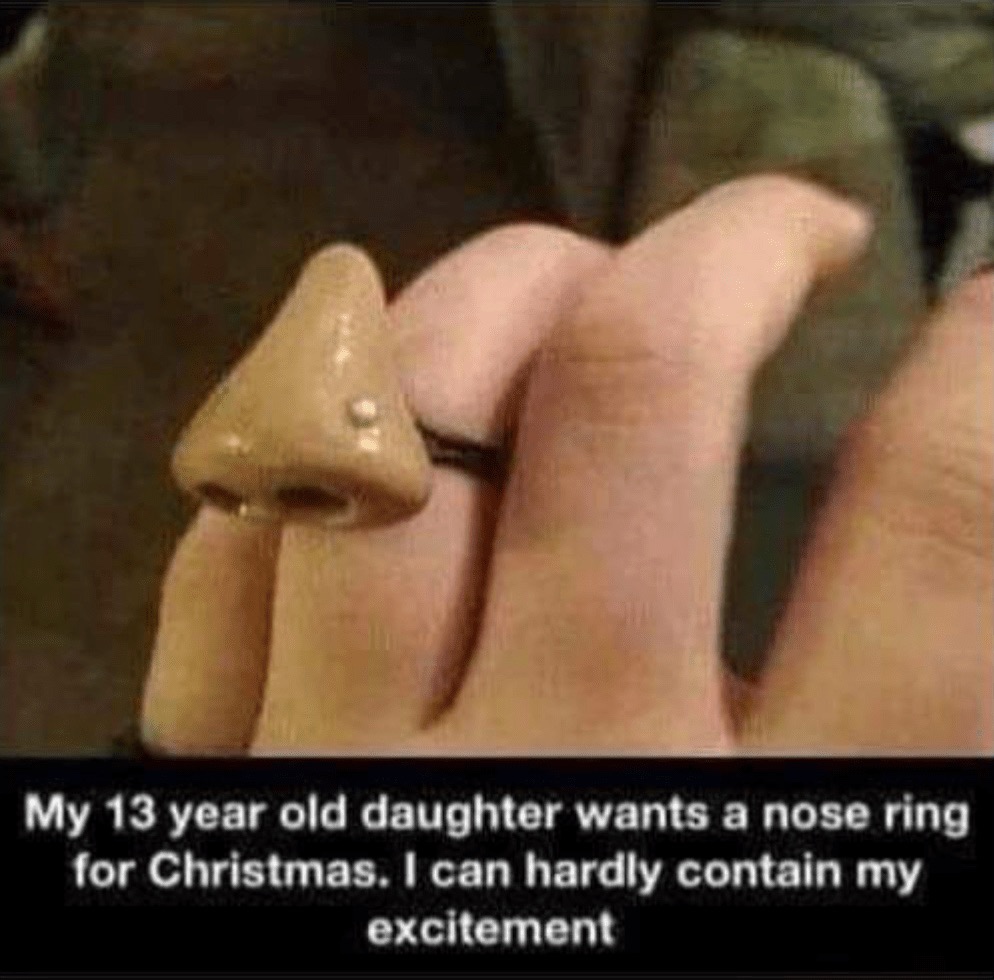 Humour - My 13 year old daughter wants a nose ring for Christmas. I can hardly contain my excitement