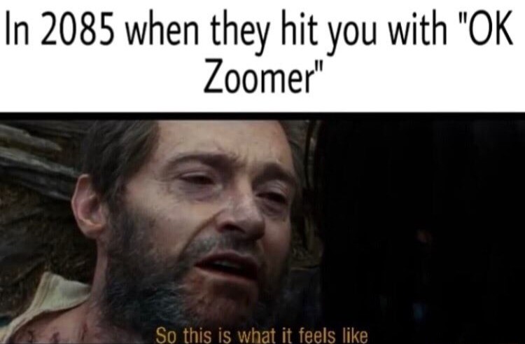 ok zoomer meme - In 2085 when they hit you with "Ok Zoomer" So this is what it feels