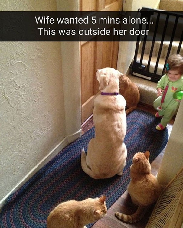 funny parenting memes - Wife wanted 5 mins alone... This was outside her door 3 Com