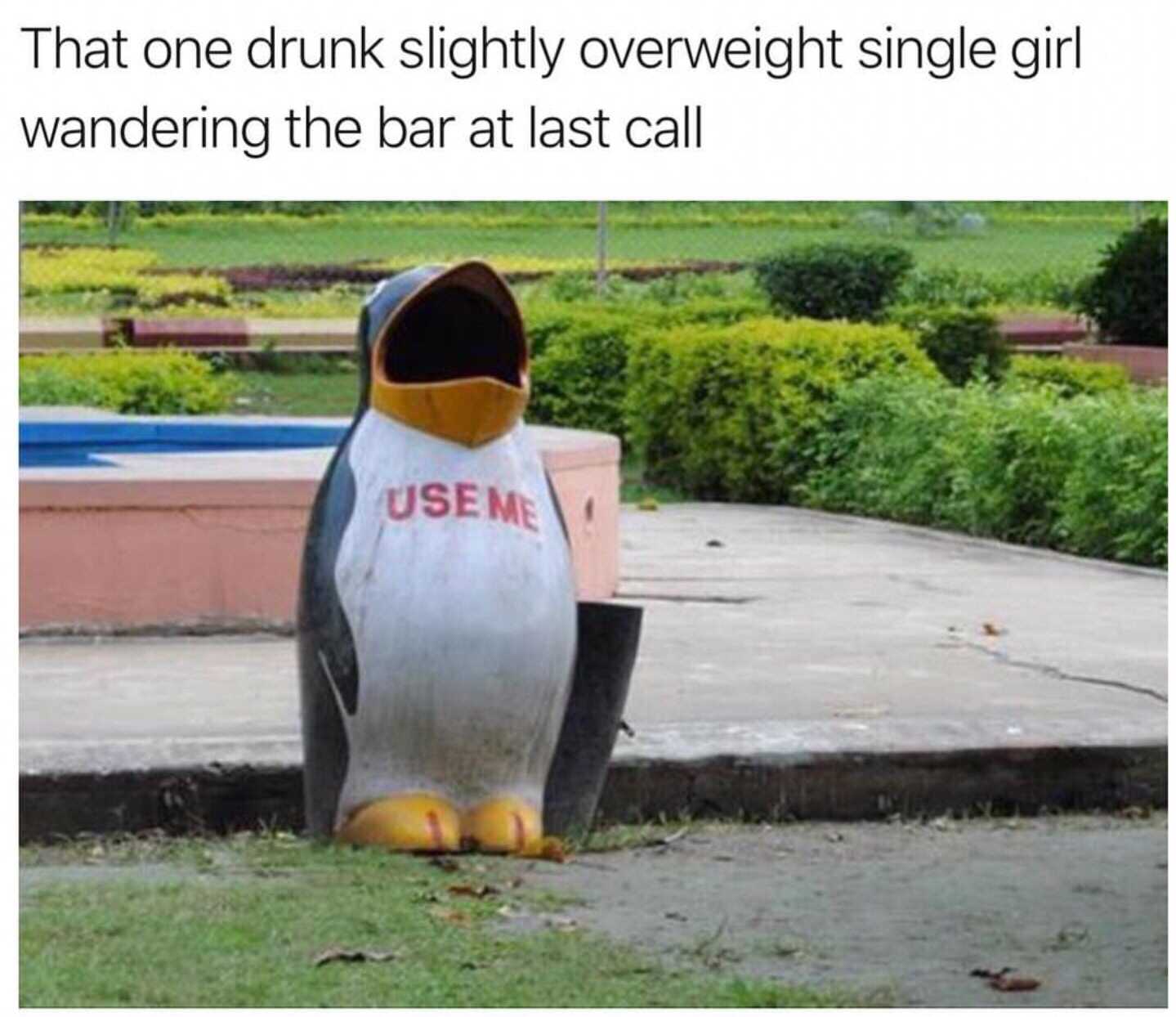 slightly overweight girl meme - That one drunk slightly overweight single girl wandering the bar at last call Useme