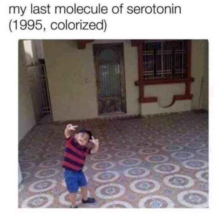 last molecule of serotonin meme - my last molecule of serotonin 1995, colorized