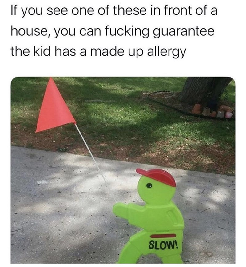 Cheezburger, Inc. - If you see one of these in front of a house, you can fucking guarantee the kid has a made up allergy Slow!