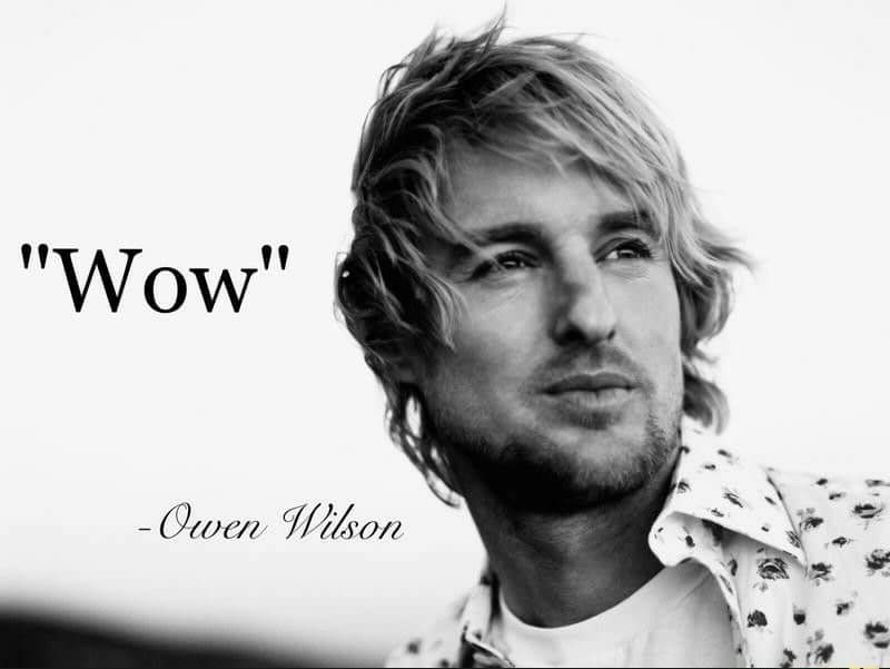owen wilson - "Wow" Owen Wilson