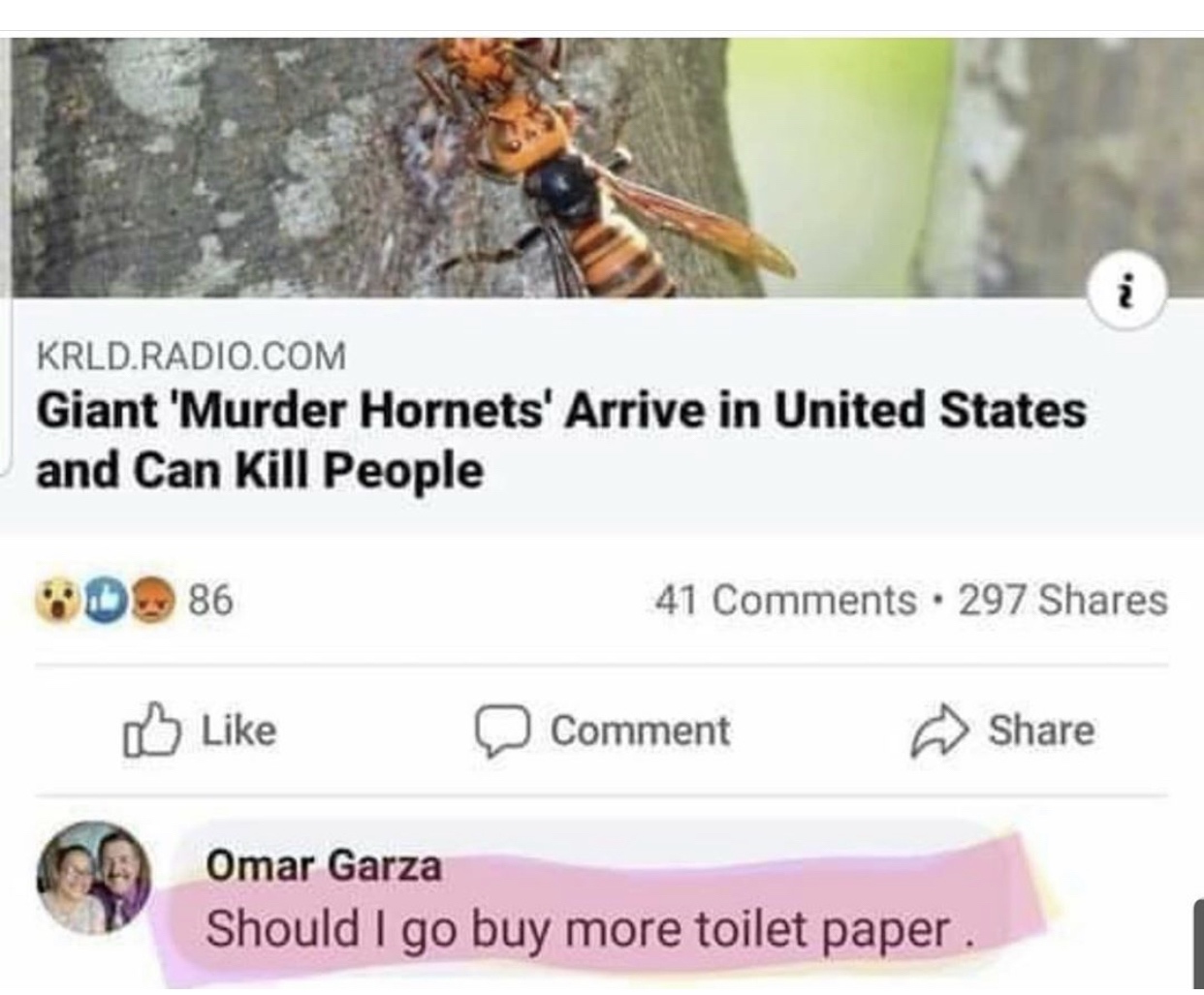 pest - Krld.Radio.Com Giant 'Murder Hornets' Arrive in United States and Can Kill People D 86 41 . 297 Comment 00 Omar Garza Should I go buy more toilet paper.