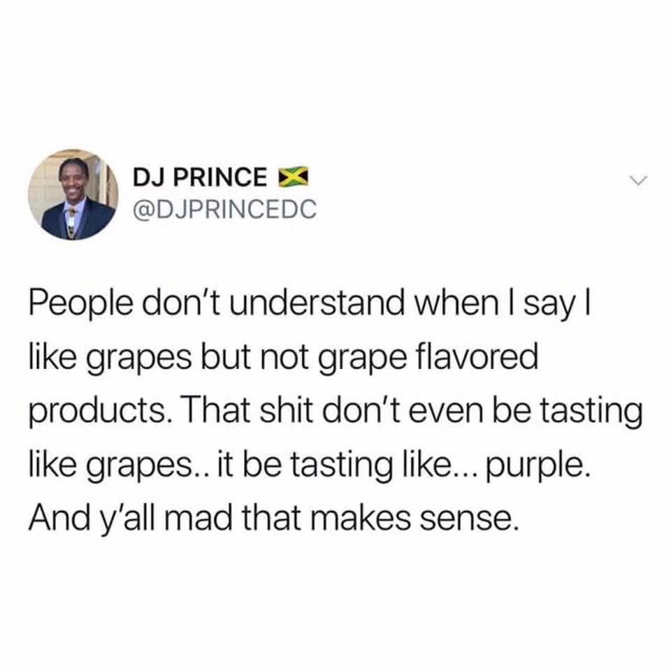 college professors are like - Dj Prince People don't understand when I say || grapes but not grape flavored products. That shit don't even be tasting grapes.. it be tasting ... purple. And y'all mad that makes sense.