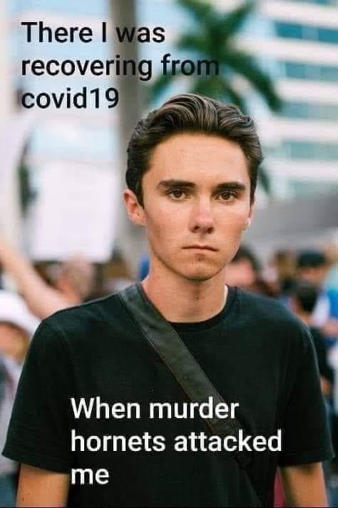 david hogg meme - There I was recovering from covid19 When murder hornets attacked me
