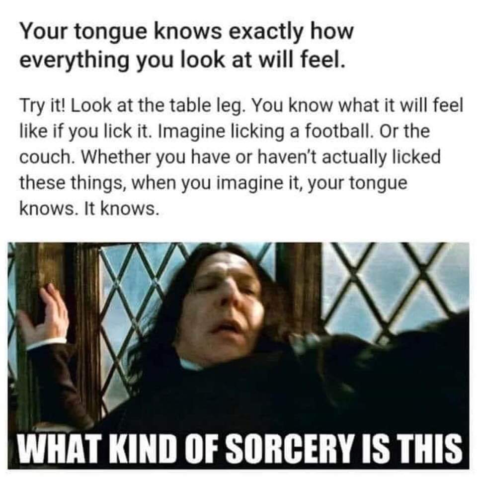snape dafuq - Your tongue knows exactly how everything you look at will feel. Try it! Look at the table leg. You know what it will feel if you lick it. Imagine licking a football. Or the couch. Whether you have or haven't actually licked these things, whe