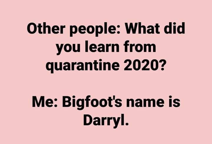 angle - Other people What did you learn from quarantine 2020? Me Bigfoot's name is Darryl.