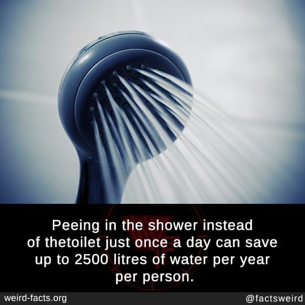 Shower - Peeing in the shower instead of thetoilet just once a day can save up to 2500 litres of water per year per person. weirdfacts.org