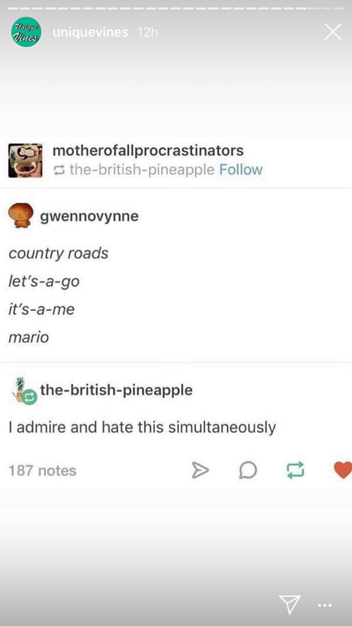 screenshot - Uique Vines uniquevines 12h motherofallprocrastinators thebritishpineapple gwennovynne country roads let'sago it'same mario thebritishpineapple I admire and hate this simultaneously 187 notes V.