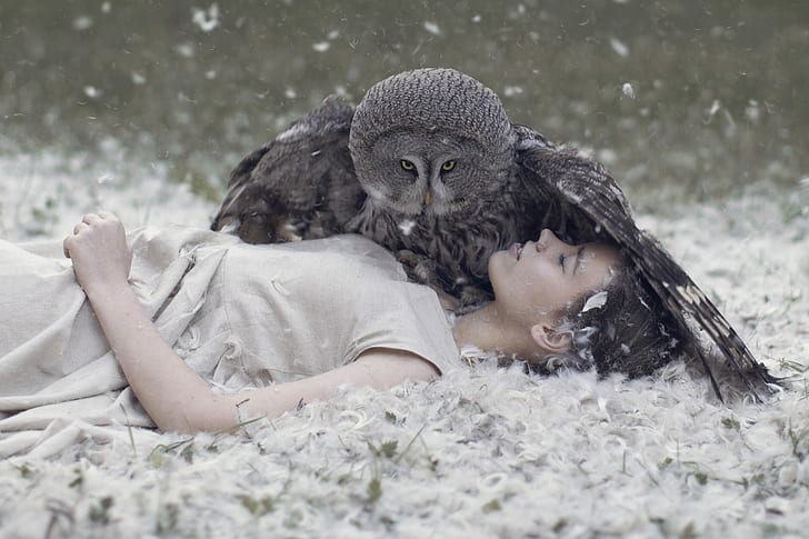 katerina plotnikova owl