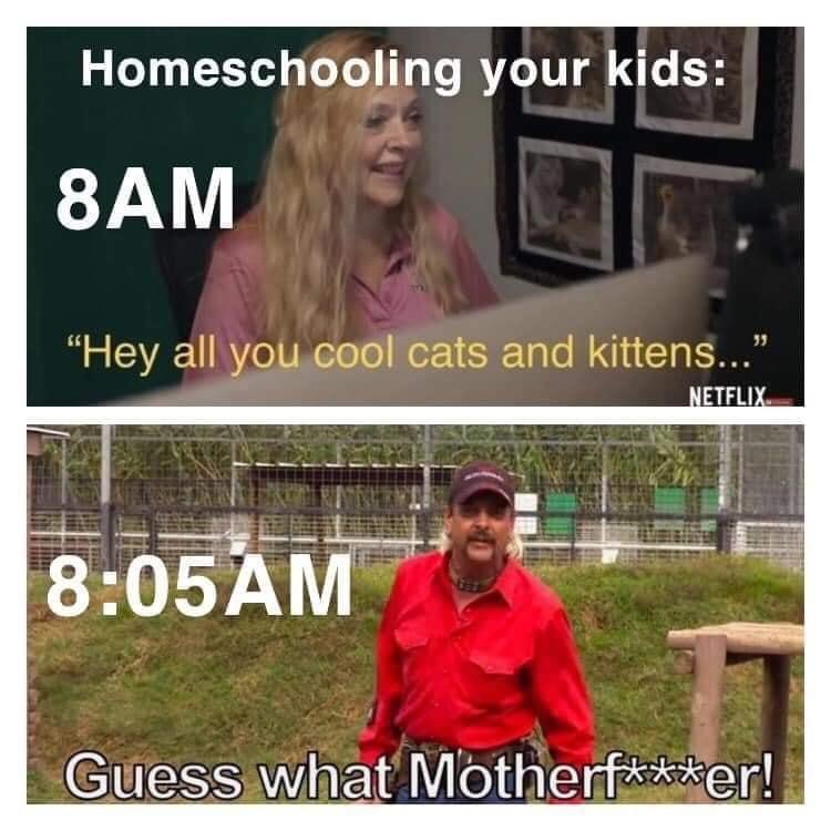 tiger king homeschool meme - Homeschooling your kids 8AM "Hey all you cool cats and kittens... Netflix Guess what Motherfer!