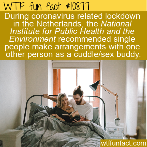arizona - Wtf fun fact During coronavirus related lockdown in the Netherlands, the National Institute for Public Health and the Environment recommended single people make arrangements with one other person as a cuddlesex buddy. wtffunfact.com