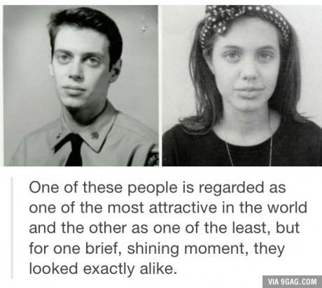 angelina jolie steve buscemi - One of these people is regarded as one of the most attractive in the world and the other as one of the least, but for one brief, shining moment, they looked exactly a. Via 9GAG.Com