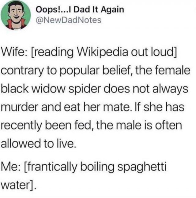 Wife: reading Wikipedia out loud contrary to popular belief, the female black widow spider does not always murder and eat her mate. If she has recently been fed, the male is often allowed to live. Me frantically boiling spaghetti water