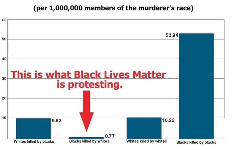 blm statistics - per 1,000,000 members of the murderer's race 60 53.94 50 40 30 This is what Black Lives Matter is protesting. 20 10 9.83 10.22 Whites killed by blacks 0.77 Blacks killed by whites Whites killed by whites Blacks killed by blacks