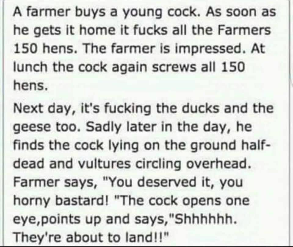 handwriting - A farmer buys a young cock. As soon as he gets it home it fucks all the Farmers 150 hens. The farmer is impressed. At lunch the cock again screws all 150 hens. Next day, it's fucking the ducks and the geese too. Sadly later in the day, he fi