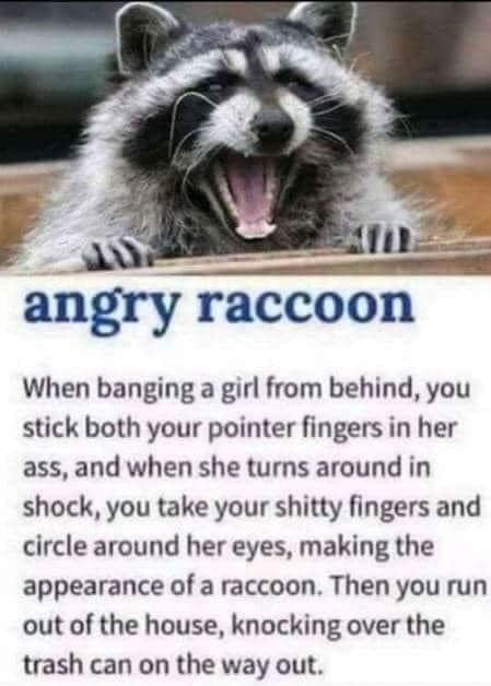 raccoon trash - angry raccoon When banging a girl from behind, you stick both your pointer fingers in her ass, and when she turns around in shock, you take your shitty fingers and circle around her eyes, making the appearance of a raccoon. Then you run ou
