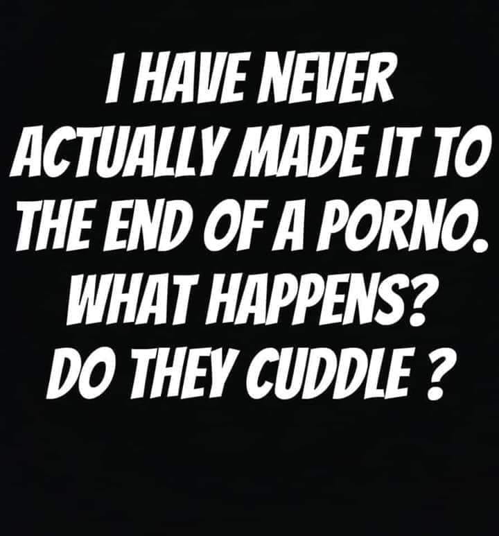 I Have Never Actually Made It To The End Of A Porno. What Happens? Do They Cuddle ?