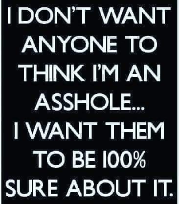 I Don'T Want Anyone To Think I'M An Asshole... I Want Them To Be 100% Sure About It.