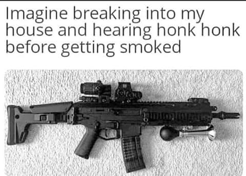 imagine breaking into my house and hearing honk honk - Imagine breaking into my house and hearing honk honk before getting smoked