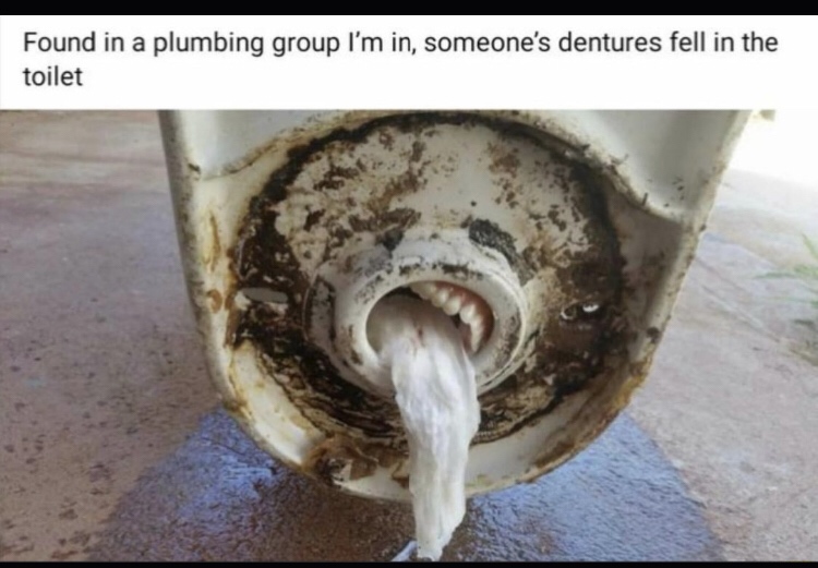 jaw - Found in a plumbing group I'm in, someone's dentures fell in the toilet
