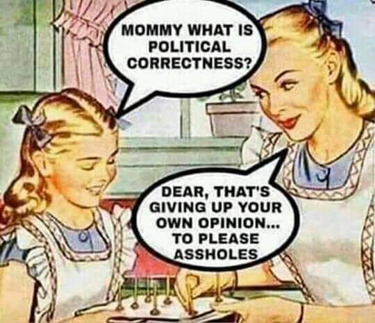 political correctness meme - Mommy What Is Political Correctness? Dear, That'S Giving Up Your Own Opinion... To Please Assholes